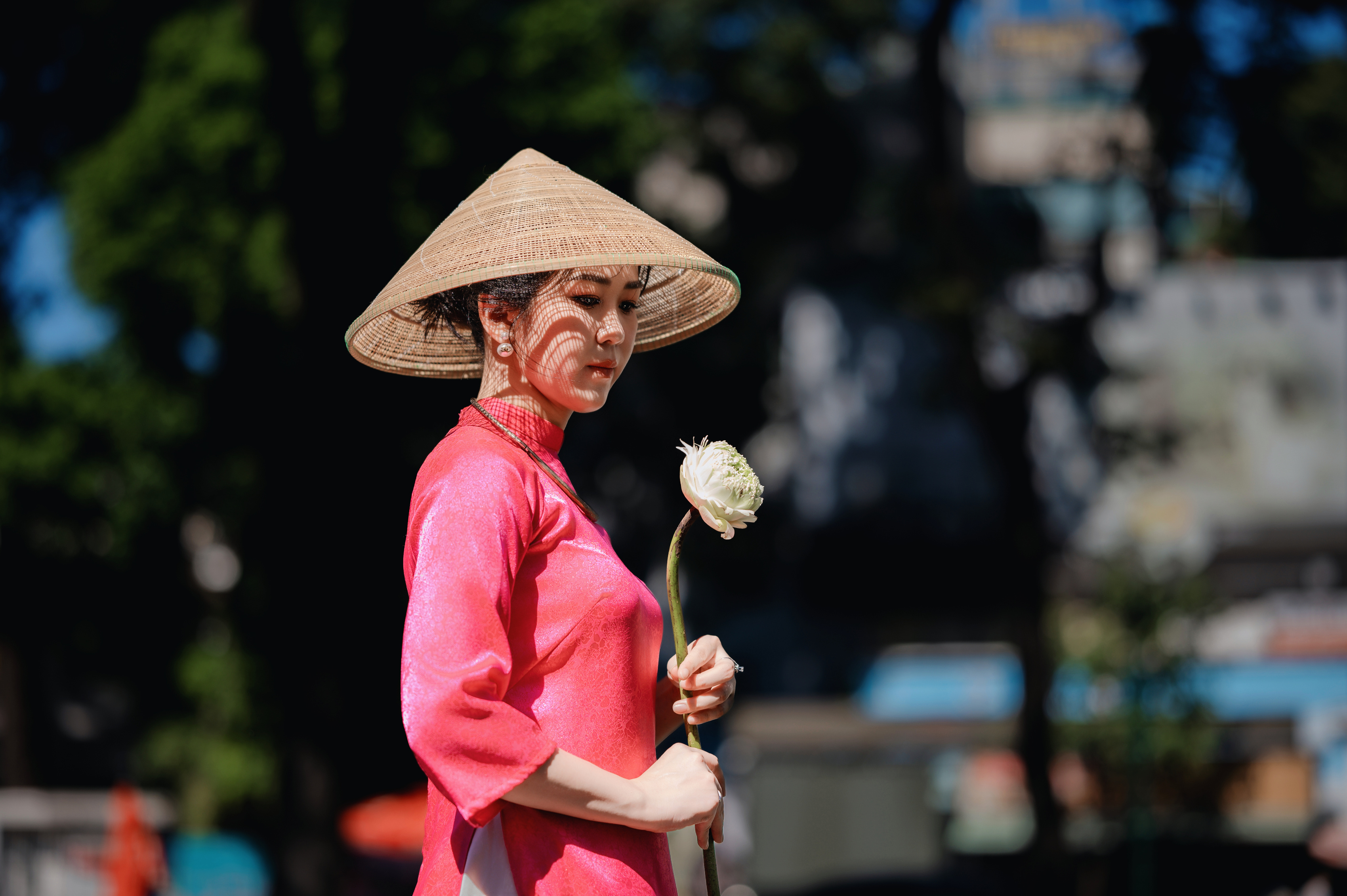 Duyên Áo Dưới Tán Cây